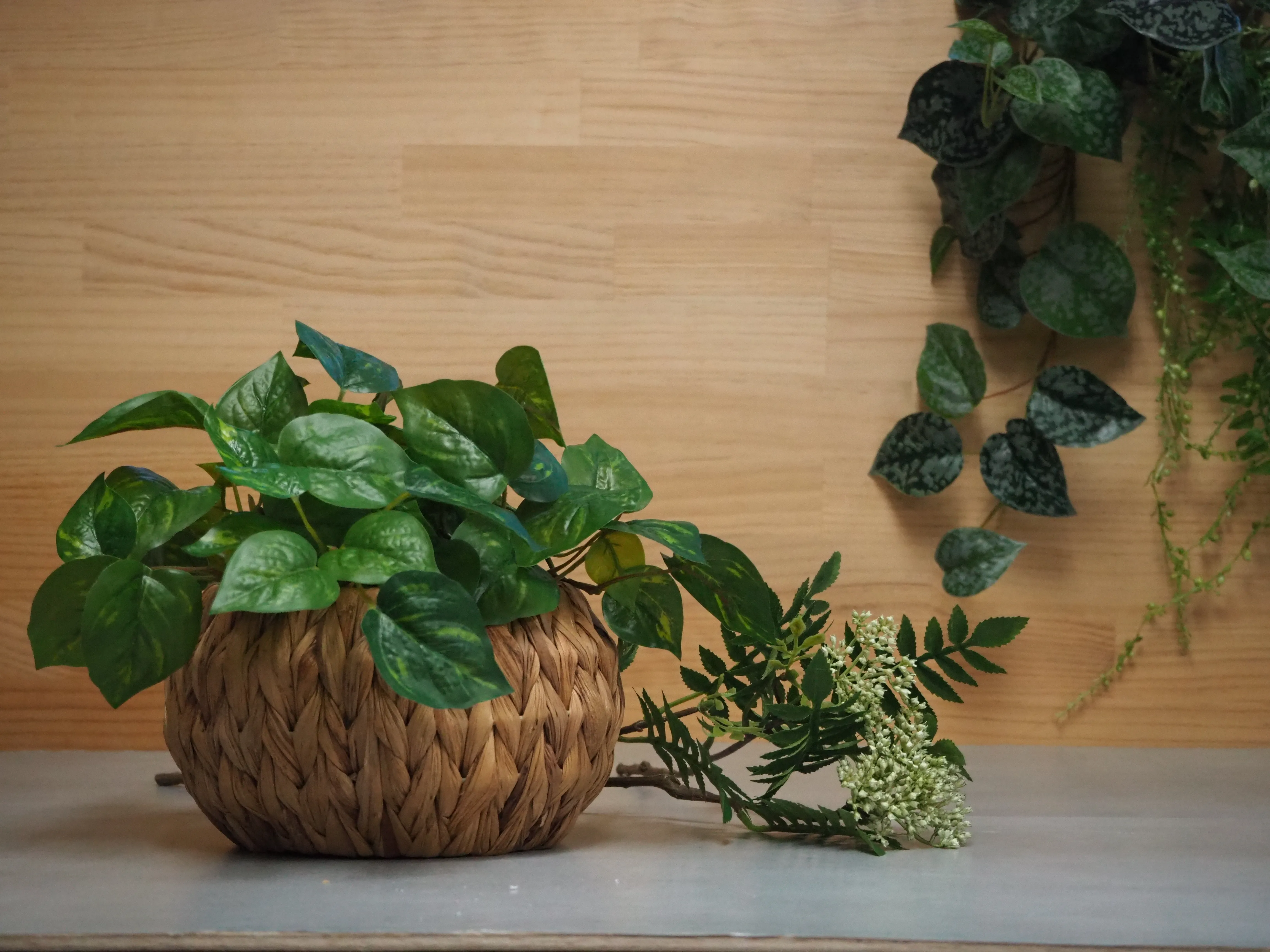 ビバ工芸について