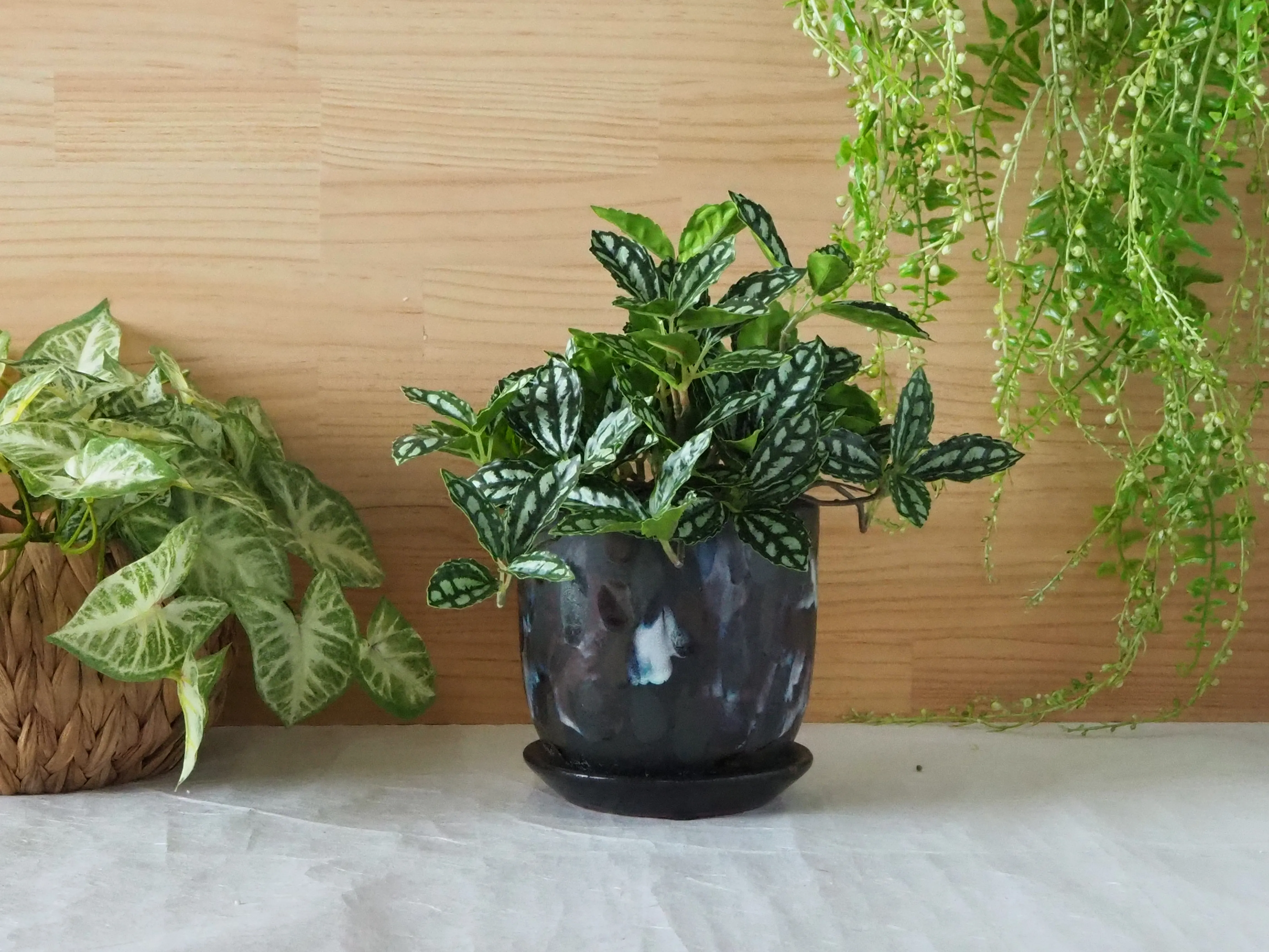 花と緑のある暮らしを「つくる」